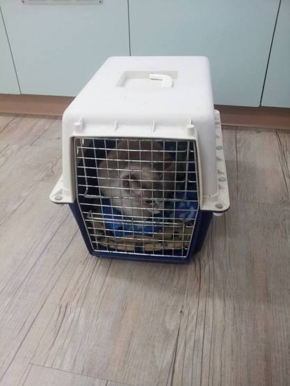 13895067_10210472959642969_7121008069559302599_n