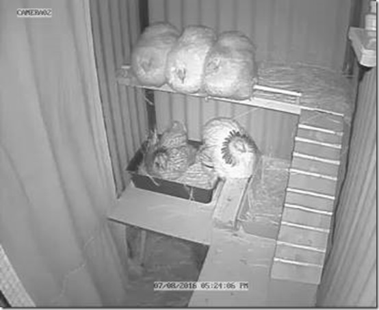 13906944_10210518028249656_6444782491393153179_n