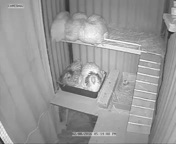 13920924_10210473679340961_4827723638747858952_n