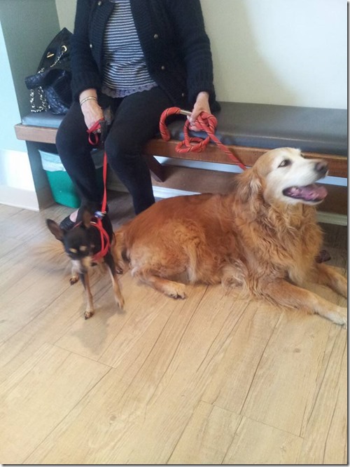 15337473_10211731629988941_4141960156922778855_n