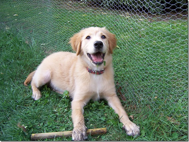 15493796_10211876240364110_9083749109715403598_o