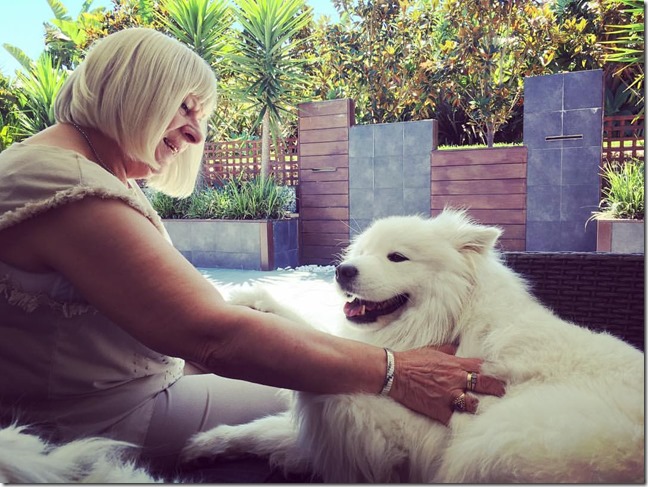 15732277_1828828934065800_770292815921327210_o