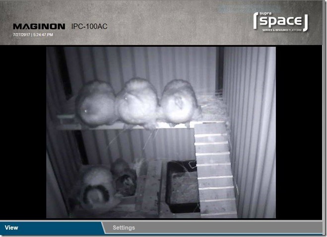 20294158_10214146485798827_9084084663916482331_n