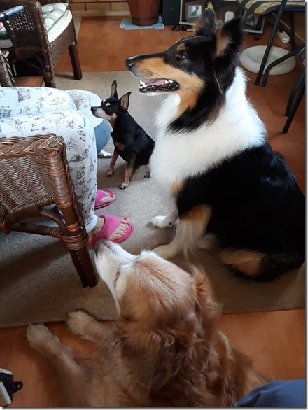 25587180_10215399439681891_4652000596034800880_o