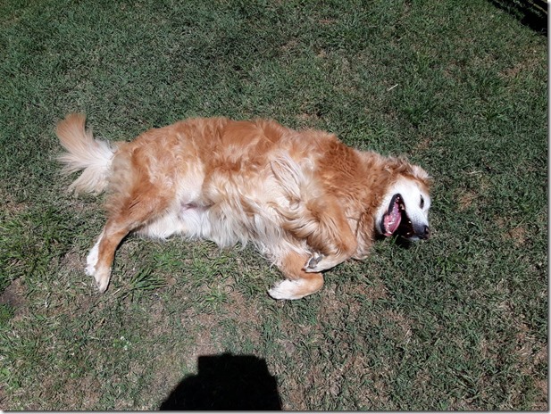 26114418_10215486324853966_8509603383222053349_o