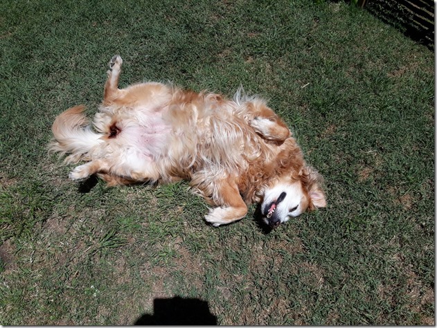 26171716_10215486324933968_1295327667409860413_o