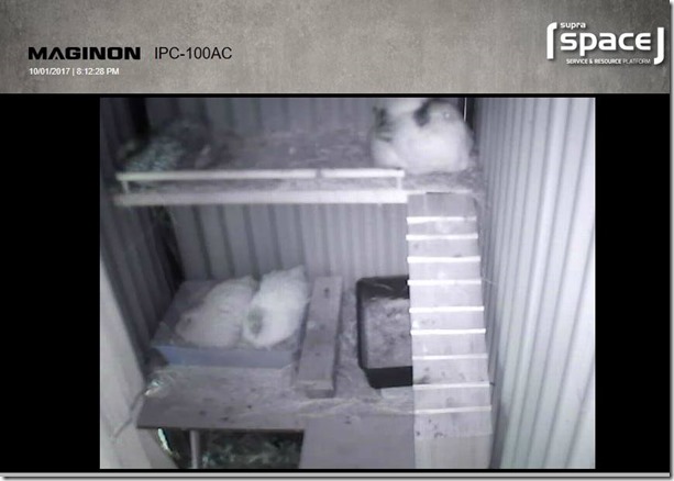 15873247_10212110153211785_5712942514592250402_n