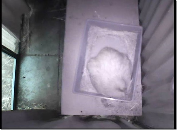 15941205_10212110168492167_8308492394633552428_n