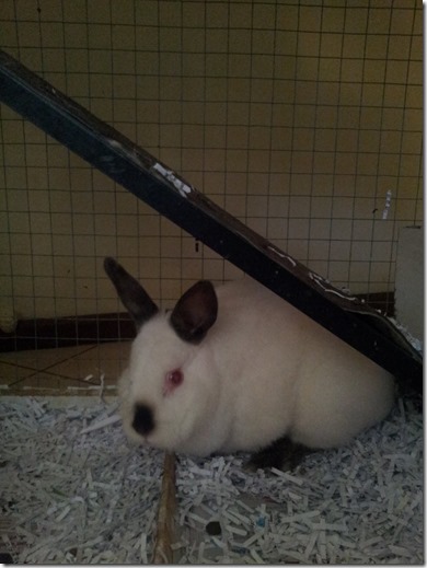 17158987_10212669546596270_1967183311629065060_o