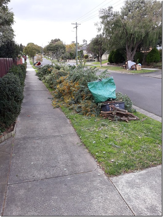 39515265_10217465636255514_2698536133989498880_o