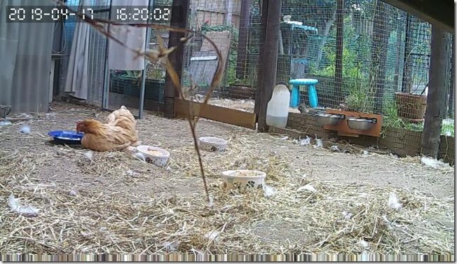 57486168_10219440682670440_5442821035550310400_n