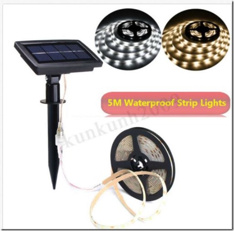 84054713_10222054604416850_7518639361760428032_n