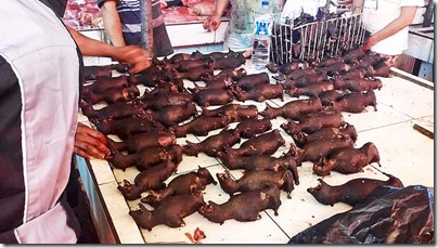 27652154-8257375-Bats_dogs_rats_and_reptiles_on_sale_in_Tomohon_market_Indonesia_-a-6_1587857843591