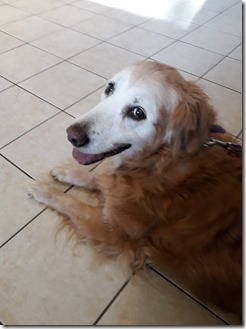 83576236_10222122650677964_8224065590982082560_o