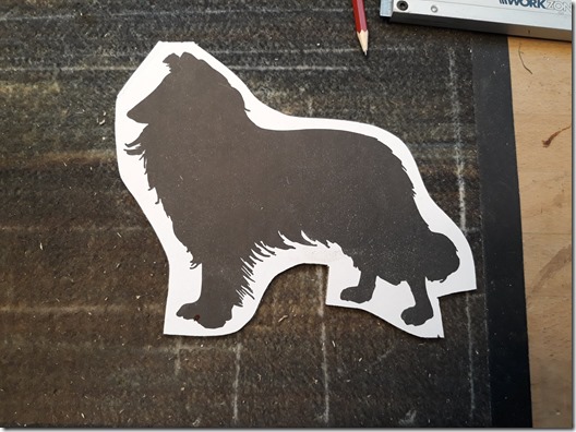 87418397_10222335963450650_5652832459444715520_o