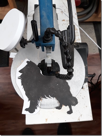 87687483_10222335963850660_5763811884637618176_o