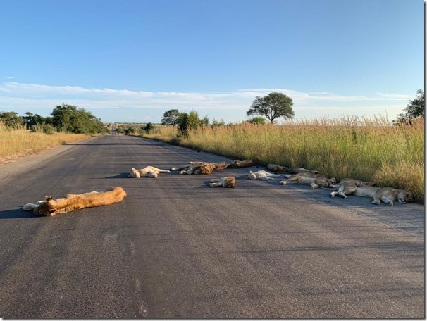 94127869_10222973487948364_3892639438592802816_o