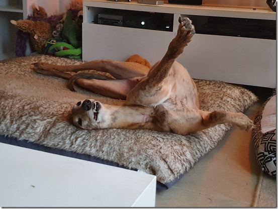 94392689_10223019577580576_7658802505614098432_o