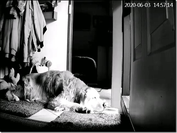 101561573_10223446488253076_7045071087972909056_n