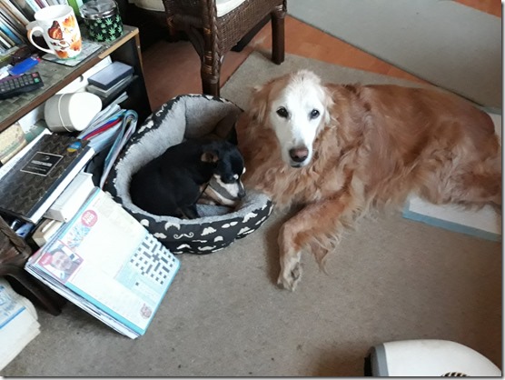 104328763_10223661163619826_3247041042435913496_o