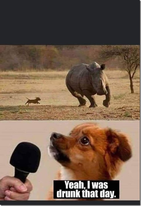 125071876_10222368450913475_4627467732695299662_o