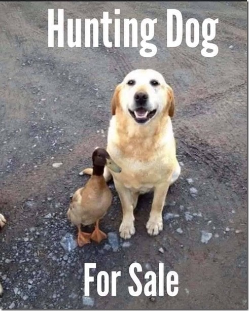 130046729_3685513818154271_8483517120326801065_n