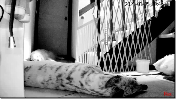 140434021_10225656858550952_7458483578385184694_o