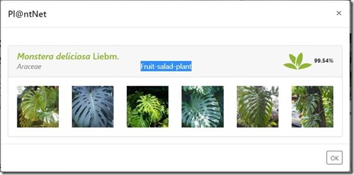 141967734_10225690279866464_814593578394149641_n