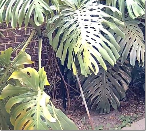 142086544_10225690192504280_4545639611717269343_n (1)