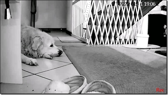 145021403_10225725116417356_1077357211506345122_o