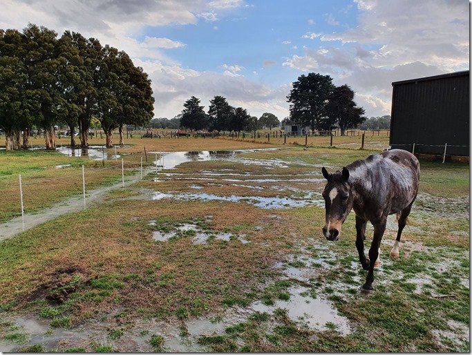 146242408_10225770478831388_431512786575730857_n