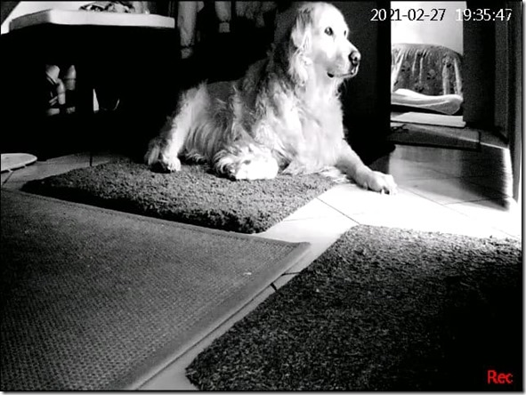 149296004_10225941839635301_3660491334015753135_n