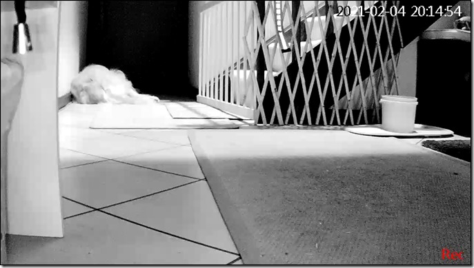 30700369-20210204201519