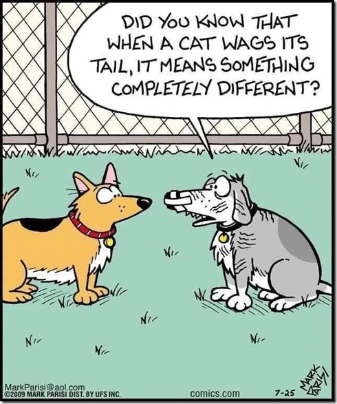 182709271_4099817880057194_4652746703356629582_n