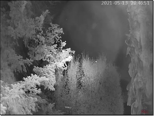 184558999_10226495839284946_1715085489318015217_n