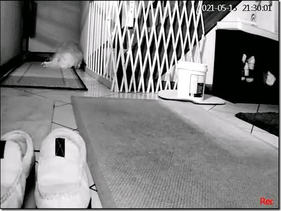 186558507_10226511523357038_4526112130365544335_n