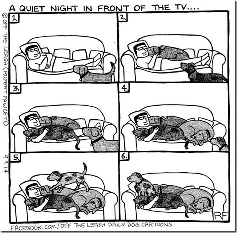 11112483_10153317310624731_4267622805226310611_o