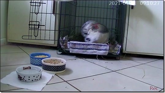 46193799-20210531091027