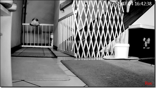 199282959_10226872658465190_4885861832037750238_n