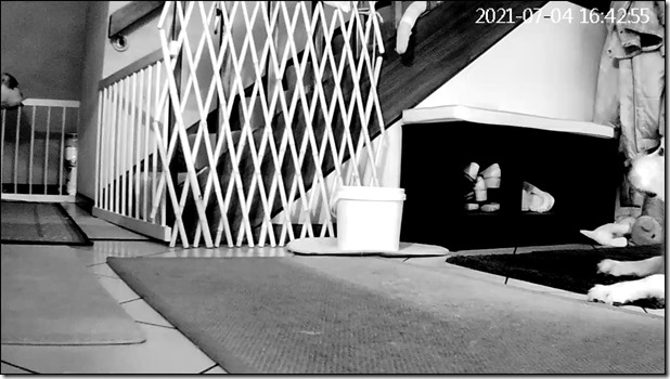 201826370_10226872680705746_8771426677842607873_n