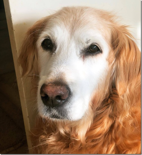 210950391_10226902274325568_1690593783487941351_n