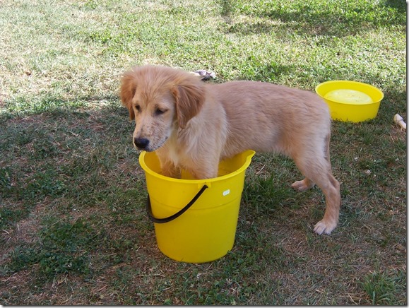 214835321_10226902274645576_2276733317259009934_n