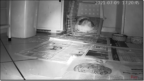 46193799-20210709172041