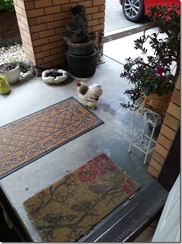 267759167_10227909739751574_2889796403948681451_n