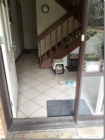 273118262_10228196791567690_8496170208641920835_n