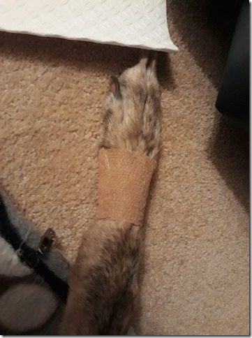 278667587_10228604712205451_6755162508511195498_n