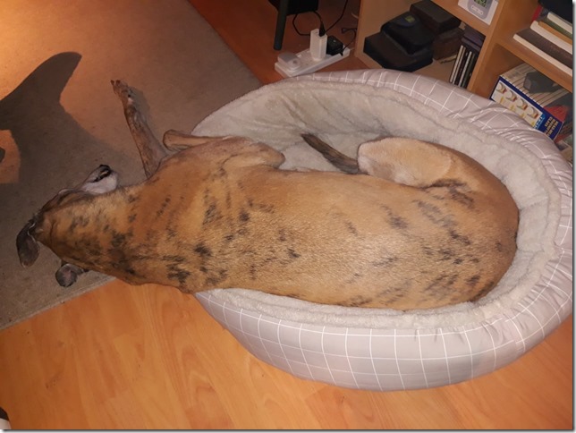 278671803_10228604711645437_9195782262082743222_n