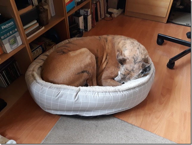 278678554_10228604766766815_6722190501231289605_n