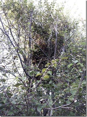 171564372_10226919900526212_7611603022218122644_n