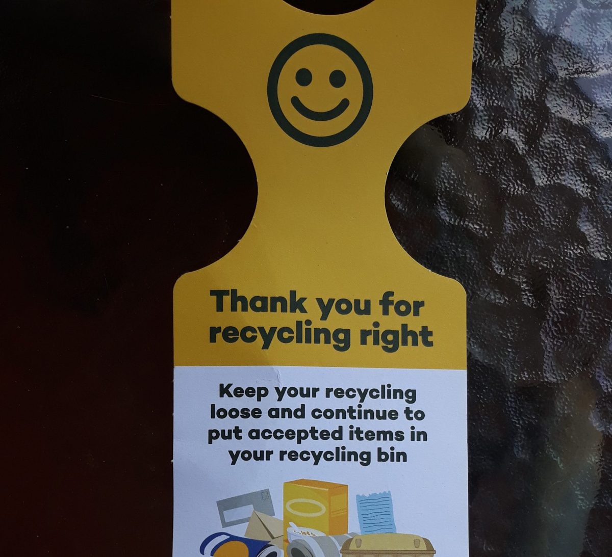 Bin collection today